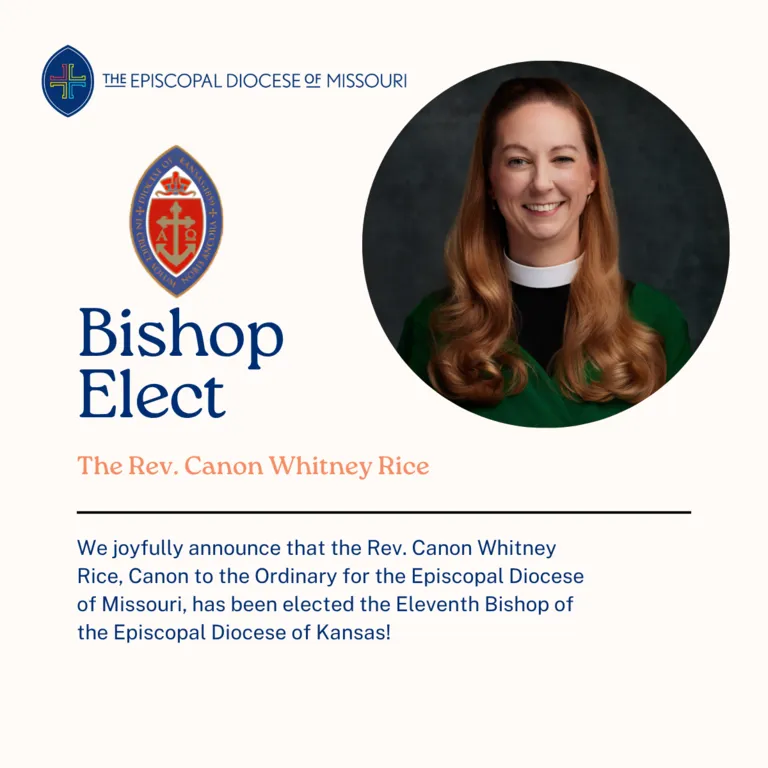 Whitney Dio KS Election