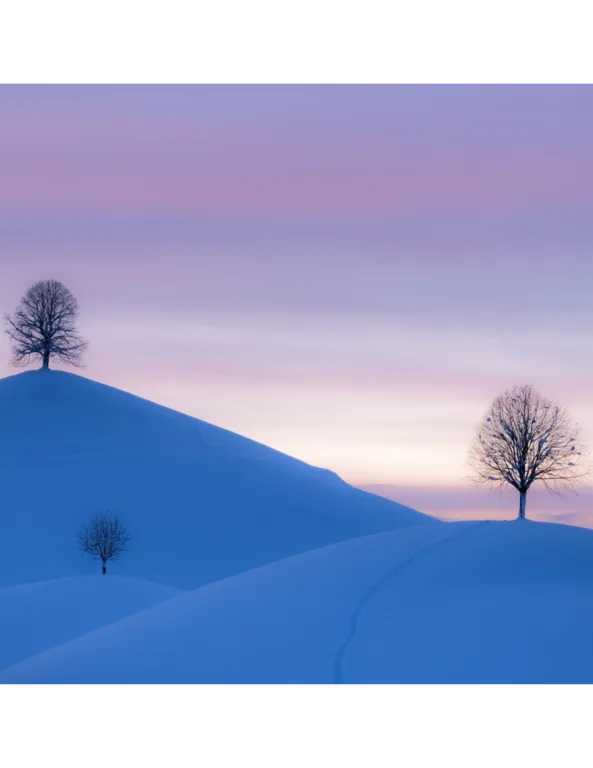 2024 Advent Booklet COver Image 