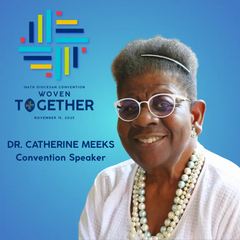 Woven Convention Speaker