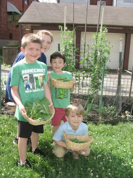 St. Mark's, St. Louis Harvest